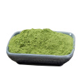 Factory direct fresh healthy organic celery juice powder with cheap price